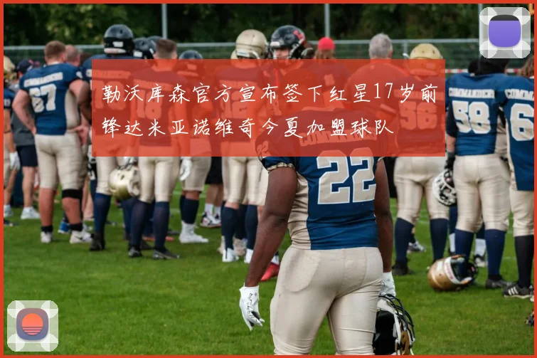 勒沃库森官方宣布签下红星17岁前锋达米亚诺维奇今夏加盟球队