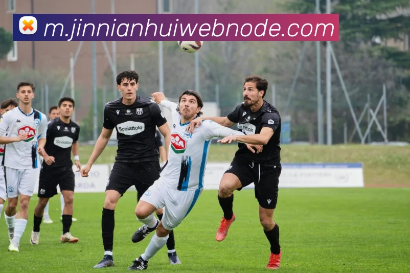 今年会官网品牌故事