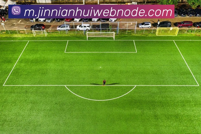 多媒体互动体验